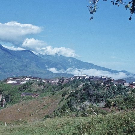 Policarpa cerro Sotomayor